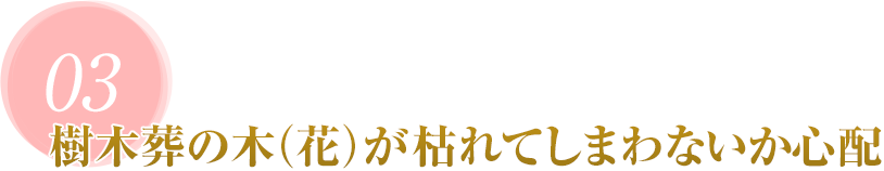 03 樹木葬の木(花)が枯れてしまわないか心配