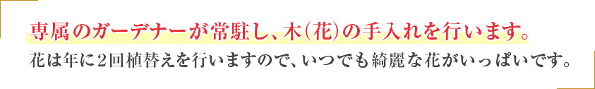 専属のガーデナーが常駐し、木(花)の手入れを行います。花は年に1回植替えを行いますので、いつでも綺麗な花がいっぱいです。