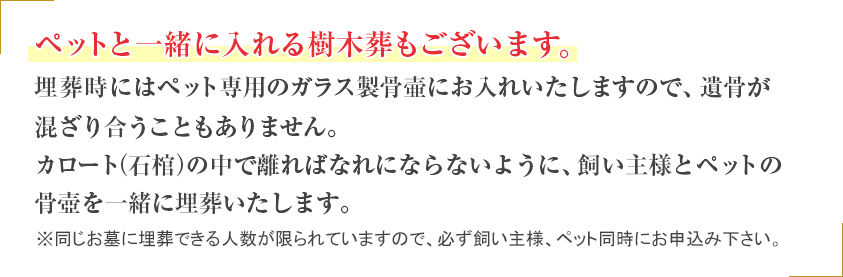 ペットと一緒に入れる樹木葬もございます。埋葬時にはペット専用のガラス製骨壺にお入れいたしますので、遺骨が混ざり合うこともありません。カロート(納骨室)の中で離ればなれにならないように、飼い主様とペットの骨壺を一緒に埋葬いたします。※同じお墓に埋葬できる人数が限られていますので、必ず飼い主様、ペット同時にお申込み下さい。※一部ペット不可の霊園もございます。
